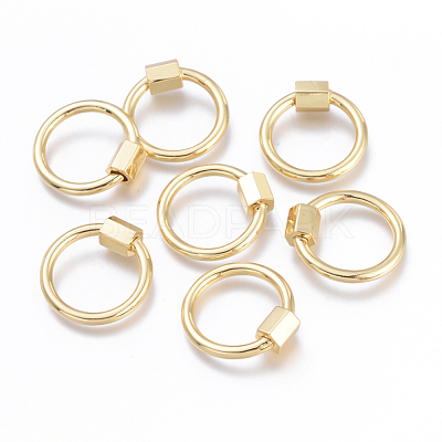 Brass Screw Carabiner Lock Charms KK-I673-09G-1