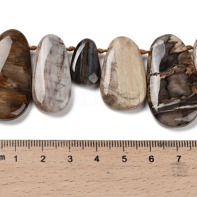 Natural Petrified Wood Beads Strands G-C253-06-1