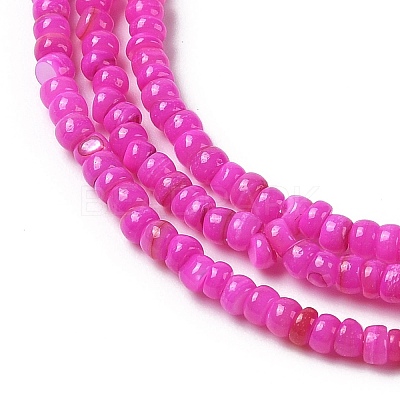 Natural Freshwater Shell Beads Strands SHEL-P017-01B-01-1