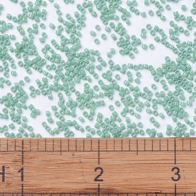 MIYUKI Delica Beads SEED-X0054-DB2125-1