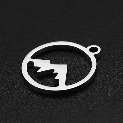 Non-Tarnish 201 Stainless Steel Charms STAS-N090-LA003-1