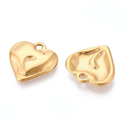 304 Stainless Steel Pendants STAS-T065-24A-G-1