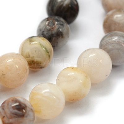 Natural Bamboo Leaf Agate Beads Strands G-G763-03-6mm-1