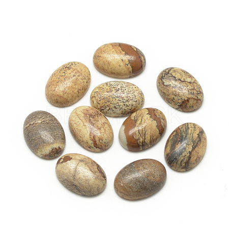 Natural Picture Jasper Cabochons G-R415-14x10-42-1