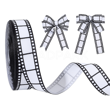 Polyester Ribbons SRIB-WH0011-436B-1