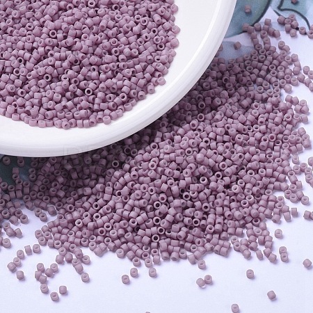 MIYUKI Delica Beads X-SEED-J020-DB0800-1