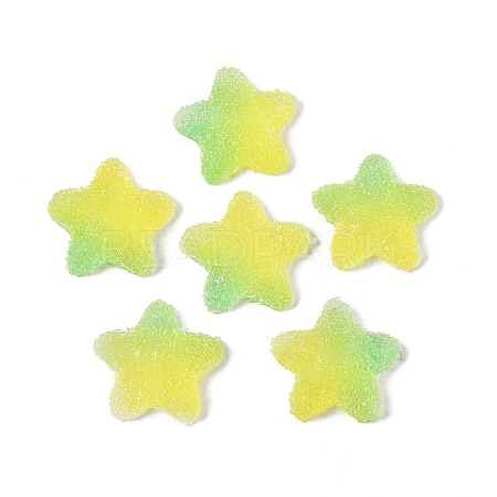 Imitation Candy Food Style Resin Cabochons RESI-R461-02M-1