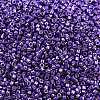 MIYUKI Delica Beads X-SEED-J020-DB2510-2