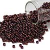 TOHO 8/0 Round Beads X-SEED-TR08-0502-1