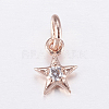 Brass Micro Pave Cubic Zirconia Charms ZIRC-E135-30RG-1