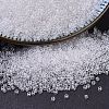 MIYUKI Delica Beads SEED-MY11-DB0141-1