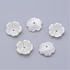 Natural Freshwater Shell Beads SHEL-Q007-09-1