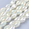 Electroplate Glass Beads Strands EGLA-J013-4X6mm-F03-4