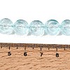 Baking Paint Transparent Glass Beads Strands GL-CBA2ED2-04A-4