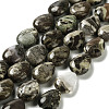 Natural Wealth Stone Jasper Beads Strands G-L242-32-1