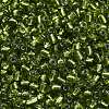 6/0 Glass Seed Beads SEED-A005-4mm-24-3