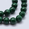 Natural Malachite Beads Strands G-F571-27AA2-12mm-3
