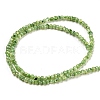 Natural White Shell Dyed Beads Strands BSHE-Z005-03E-2