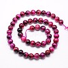 Natural Tiger Eye Beads Strands G-G544-8mm-M-3