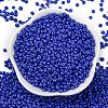 8/0 Baking Paint Glass Seed Beads SEED-M012-02A-54-2