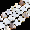 Natural Freshwater Shell Beads Strands SHEL-Q024-011-1