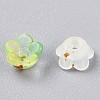 Frosted Transparent Acrylic Beads OACR-N137-72H-3