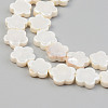 Electroplate Natural Freshwater Shell Beads Strands SHEL-T017-08-3