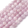Natural Kunzite Beads Strands G-H313-01C-8mm-2