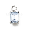 Brass Glass Charms KK-V011-36P-B-1