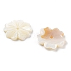 Natural Freshwater Shell Beads SHEL-Z002-02-2