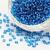 8/0 Glass Seed Beads SEED-US0003-3mm-23B-1
