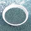 MIYUKI Round Rocailles Beads SEED-G009-RR3205-2