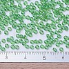 MIYUKI Round Rocailles Beads SEED-G007-RR0179L-4