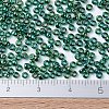 MIYUKI Round Rocailles Beads X-SEED-G007-RR0289-2