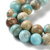 Dyed Natural Regalite/Imperial Jasper/Sea Sediment Jasper Beads Strands G-B124-C01-15-4