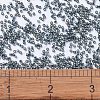 MIYUKI Delica Beads X-SEED-J020-DB2166-4