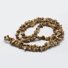 Natural Picture Jasper Beads Strands G-F328-08-2