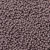 MIYUKI Round Rocailles Beads X-SEED-G008-RR2034-4