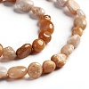 Natural Fossil Coral Beads Strands G-D0002-B36-3