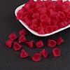 Transparent Acrylic Beads PL622-C14-1
