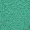 12/0 FGB Grade A Round Glass Seed Beads SEED-N001-A-1030-2