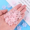 Transparent Acrylic Beads X1-MACR-S373-107-D06-6
