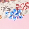 Handmade Lampwork Beads PW-WG75748-01-1