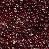 Picasso Spray Painted Glass Seed Beads SEED-T006-04-28-2