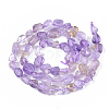 Natural Ametrine Beads Strands G-S363-052-2