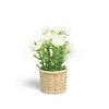 Plastic Flower Plant Miniature Ornaments PW-WGAEB14-02-1