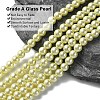 Eco-Friendly Dyed Glass Pearl Round Beads Strands HY-A008-6mm-RB012-2