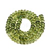 Crackle Transparent Glass Beads Strands GLAA-N074-02A-13-2