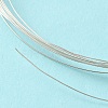 Dead Soft 925 Sterling Silver Wire STER-NH004-A-2