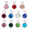 10Pcs Glass Rhinestone Charms STAS-TA0003-26G-2